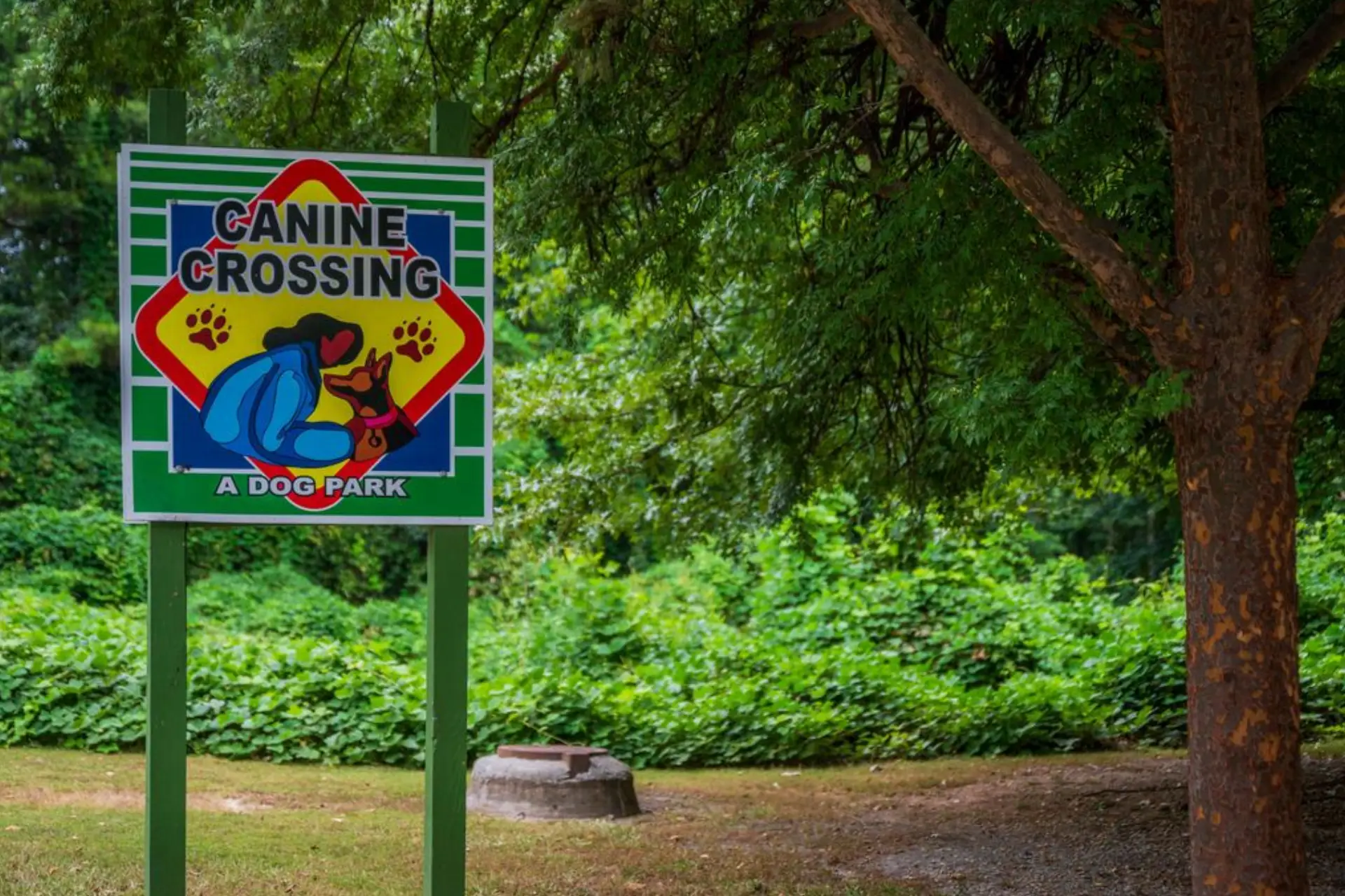 canine dog park